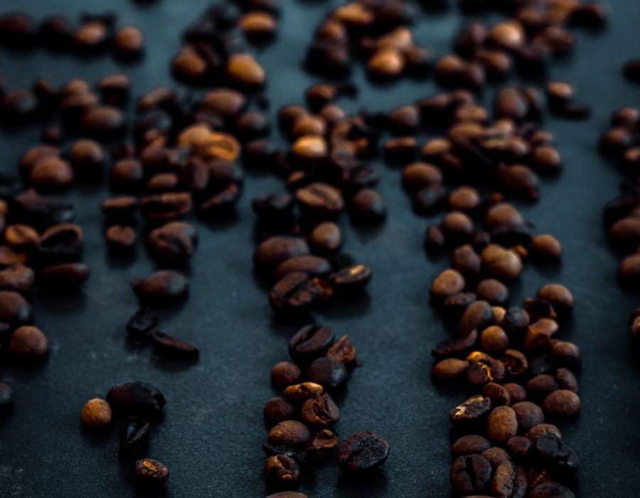 Roasted beans on the cupping table