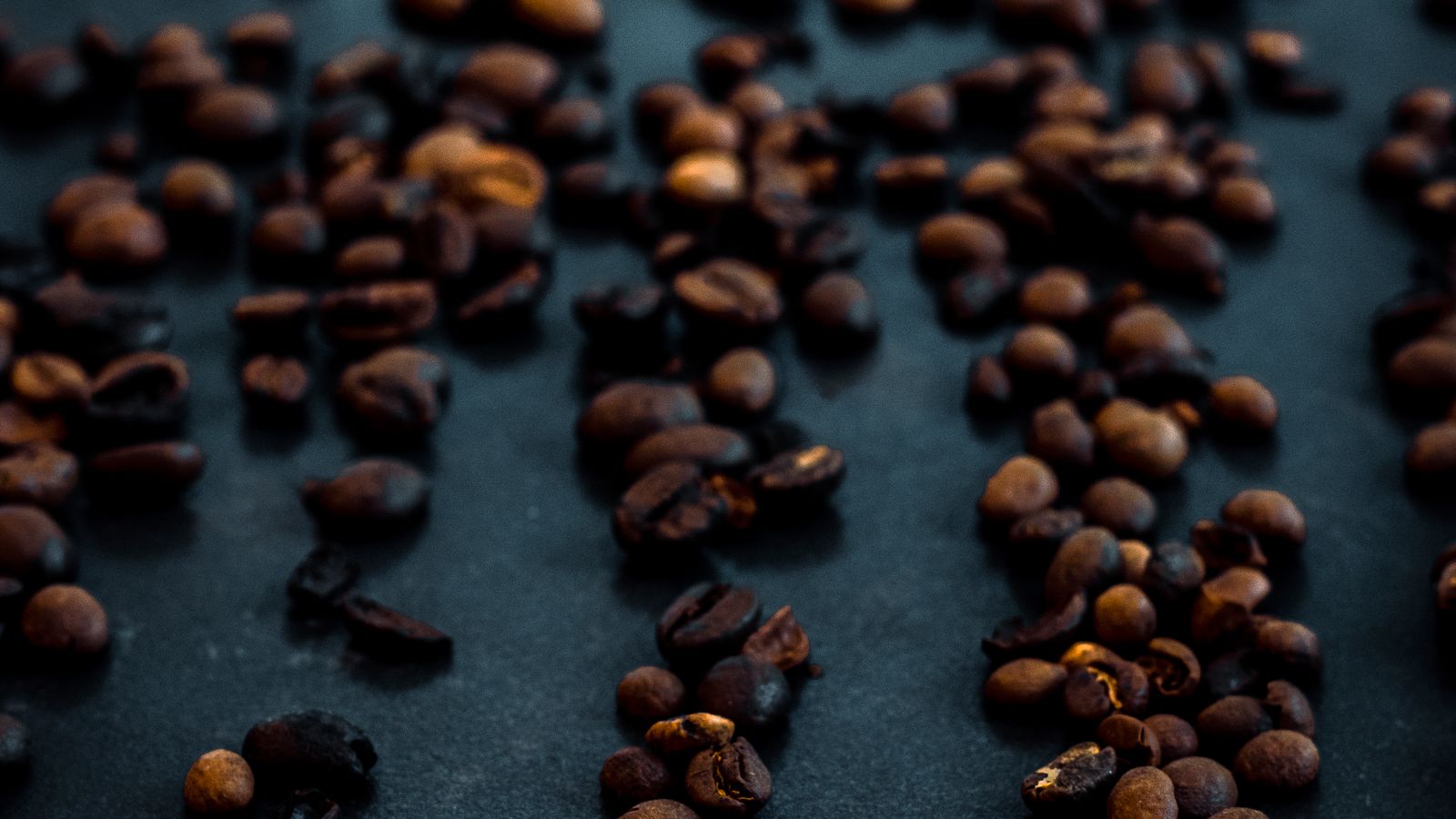 Roasted beans on the cupping table